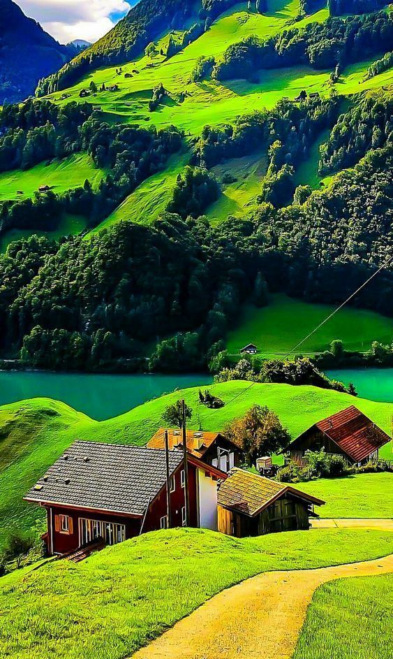 Profesor i Edukates Fizike